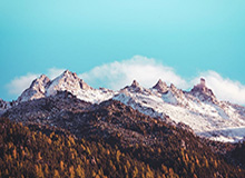 开云体育官网：开启全新体育观赛与投注体验的智慧之选